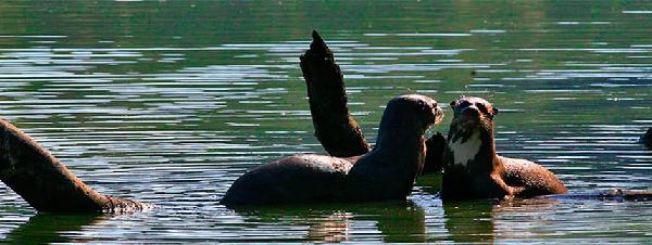 argentinien perito moreno