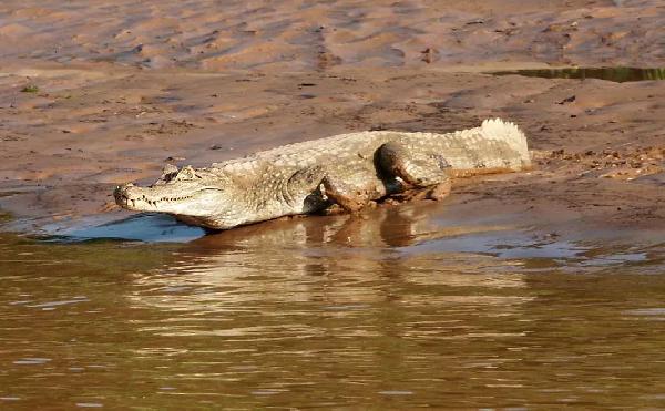 argentinien perito moreno