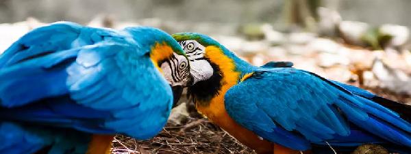 argentinien perito moreno