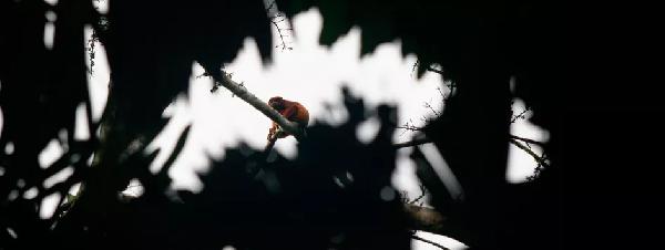 argentinien perito moreno