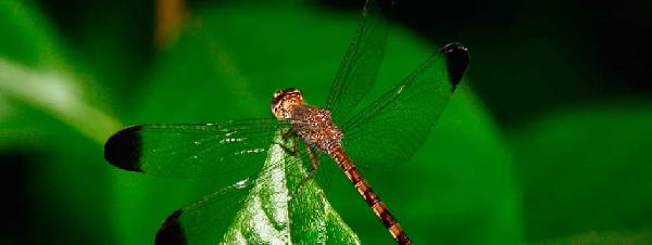 argentinien perito moreno