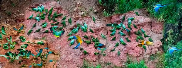 argentinien perito moreno