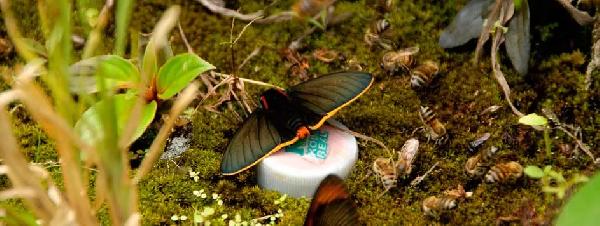 argentinien perito moreno