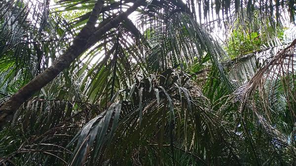 argentinien perito moreno