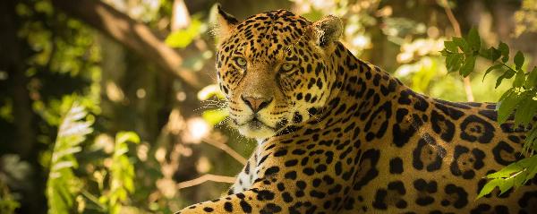 argentinien perito moreno
